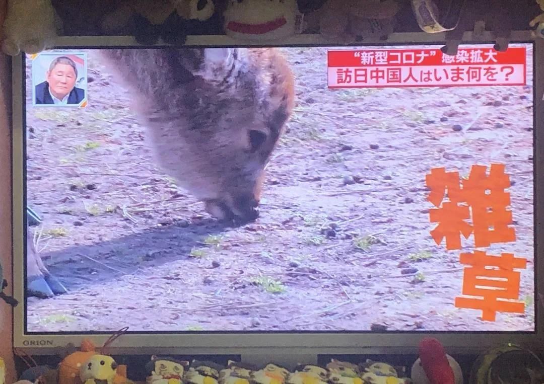 1583473692564167.jpg 微信图片_20200306134451.jpg