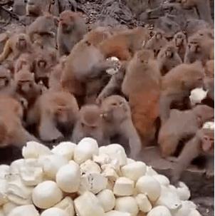 1583473861748496.jpg 微信截图_20200306135043.jpg