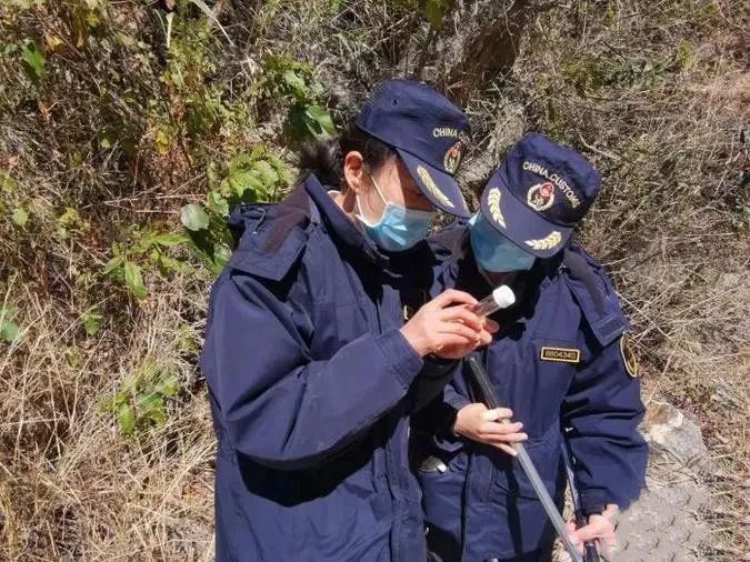 1584157893487210.jpg 640.webp (1).jpg