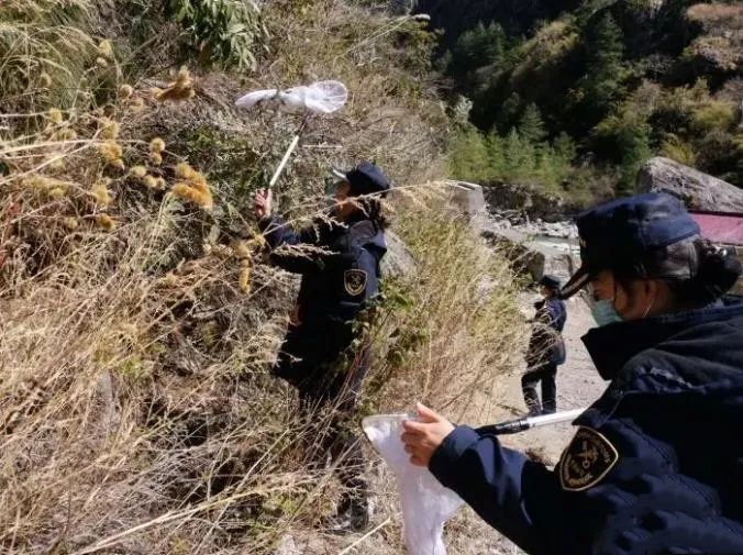 1584158011455083.jpg 640.webp (4).jpg