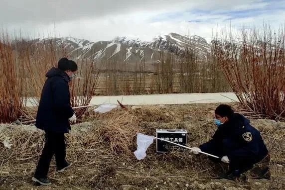 1584158045933488.jpg 640.webp (5).jpg