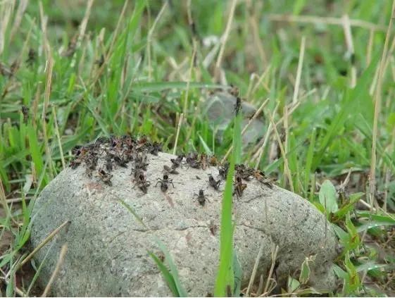 1584158094487361.jpg 640.webp (7).jpg