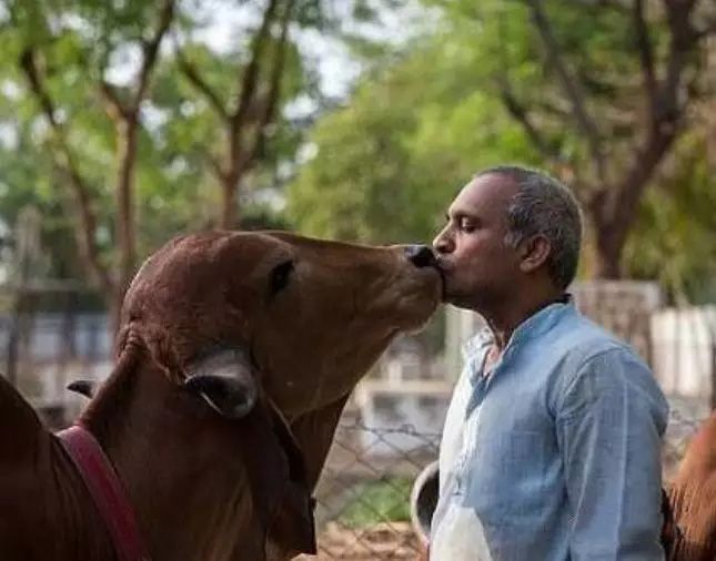 1584243319110588.jpg 640.webp.jpg