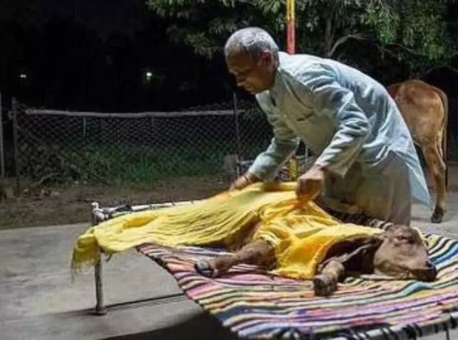 1584243352251810.jpg 640.webp (1).jpg