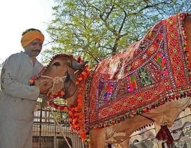 1584243357524228.jpg 640.webp (2).jpg