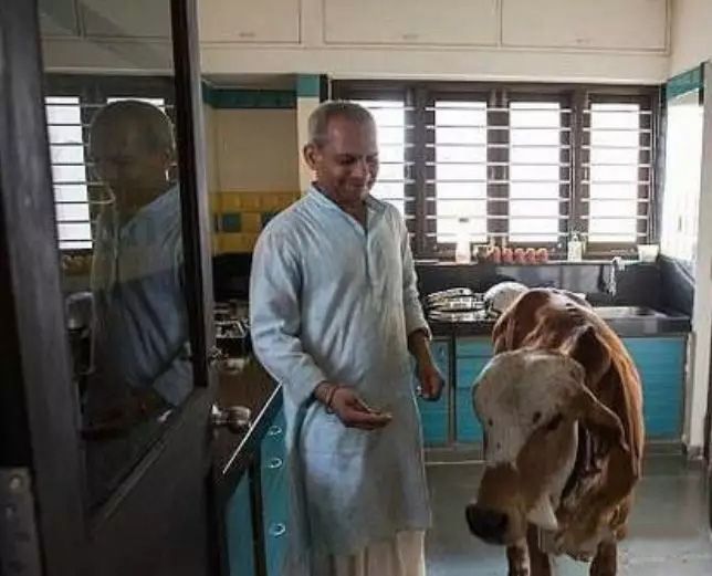 1584243365258437.jpg 640.webp (3).jpg