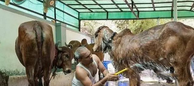 1584243369613742.jpg 640.webp (4).jpg