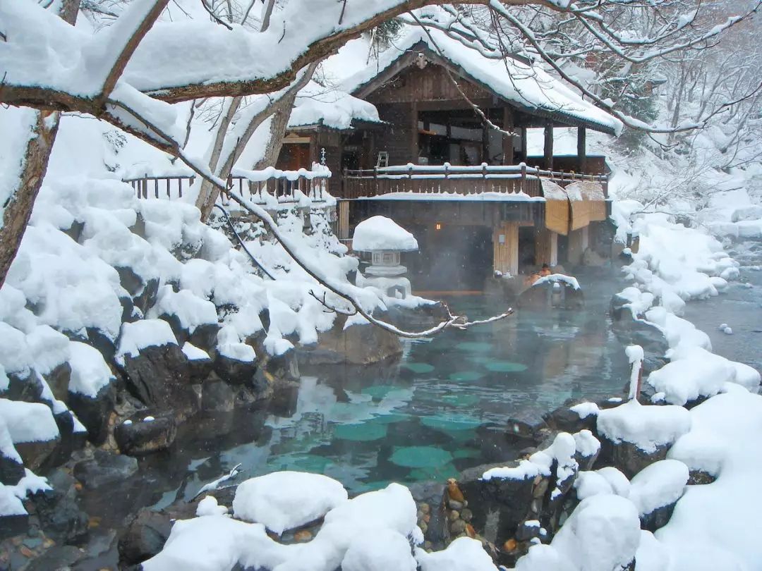 1584669565880289.jpg 640.webp (1).jpg