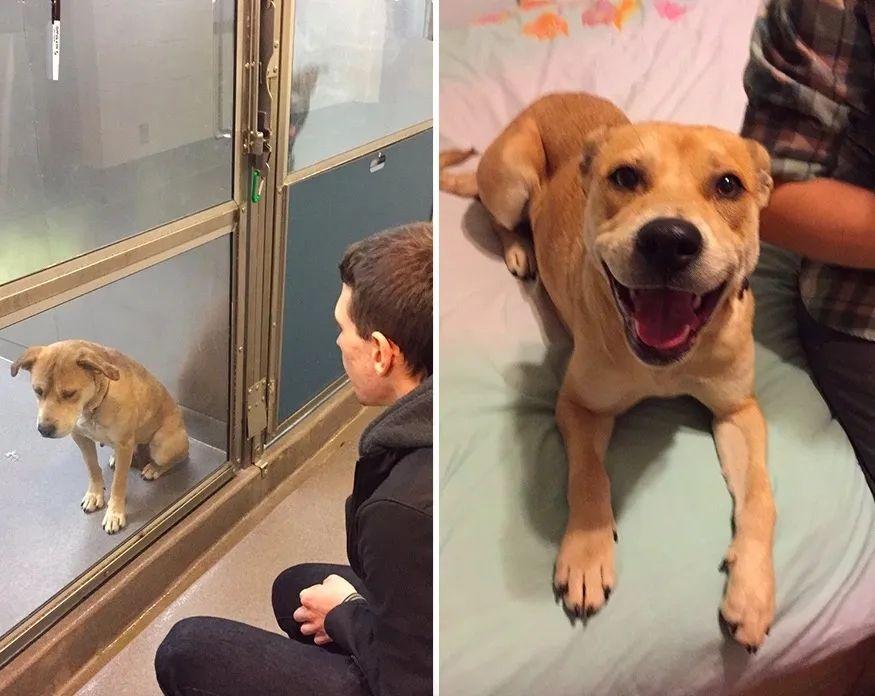 1584760651377879.jpg 640.webp.jpg