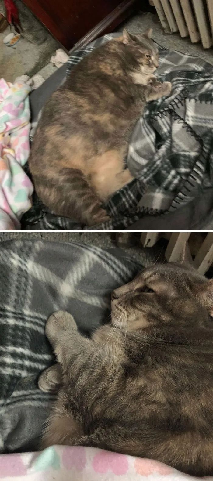 1584760688448927.jpg 640.webp (2).jpg