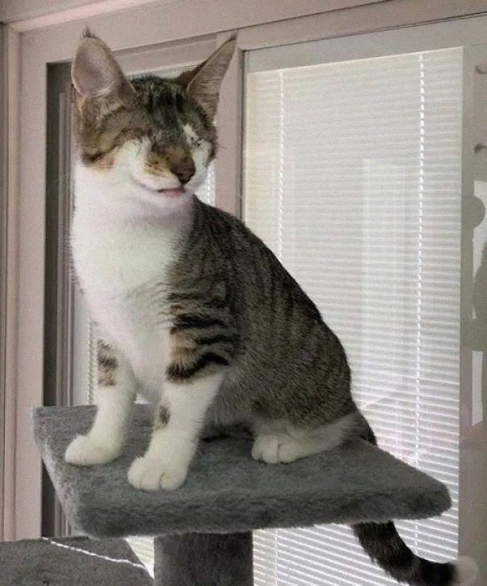 1584760700731676.jpg 640.webp (3).jpg