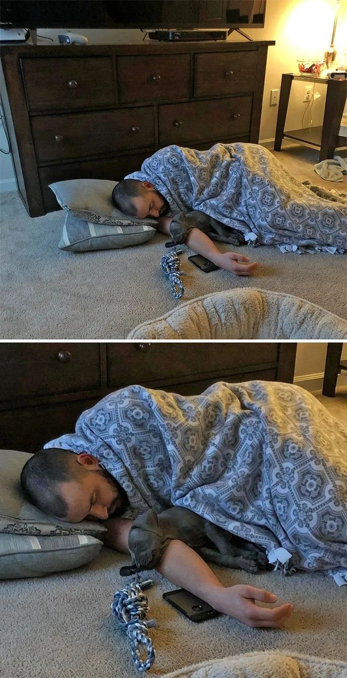 1584760720777348.jpg 640.webp (5).jpg