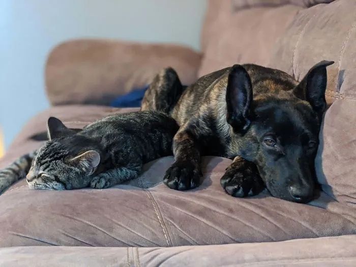 1584760801461091.jpg 640.webp (13).jpg