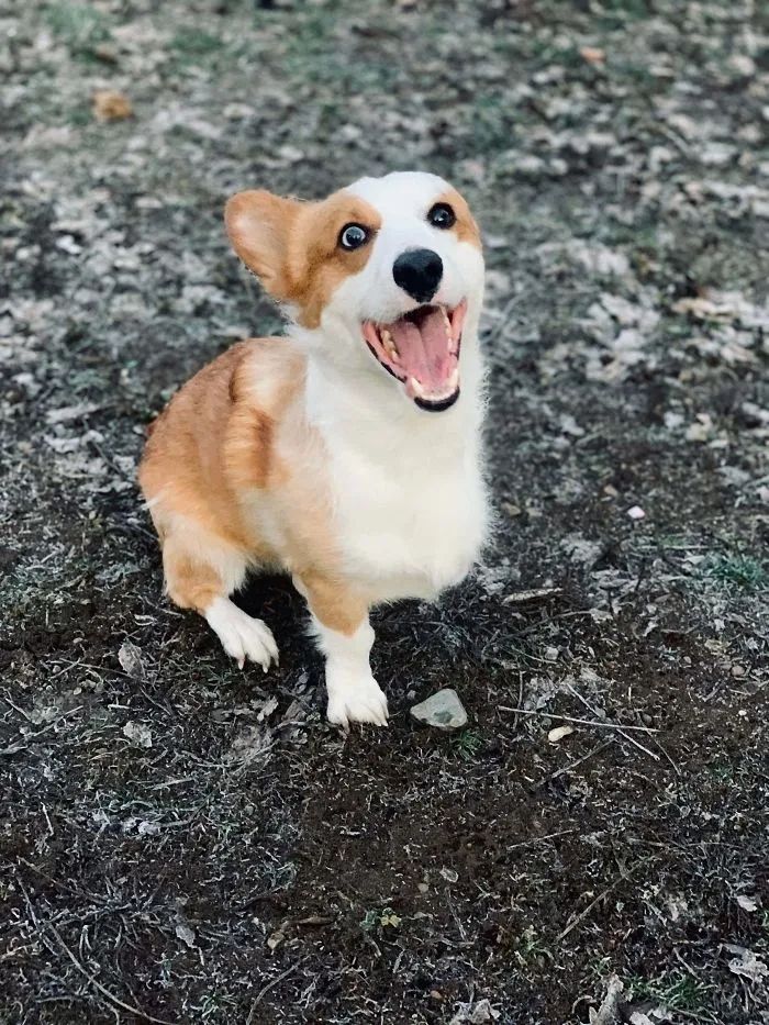 1584760847841851.jpg 640.webp (14).jpg