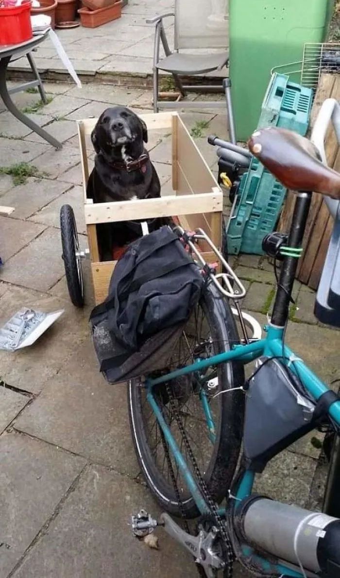 1584760885871994.jpg 640.webp (16).jpg