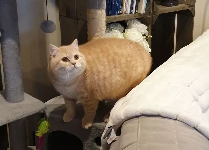 1584760950917565.jpg 640.webp (19).jpg