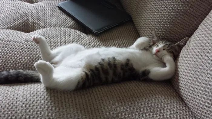 1584760966842943.jpg 640.webp (20).jpg