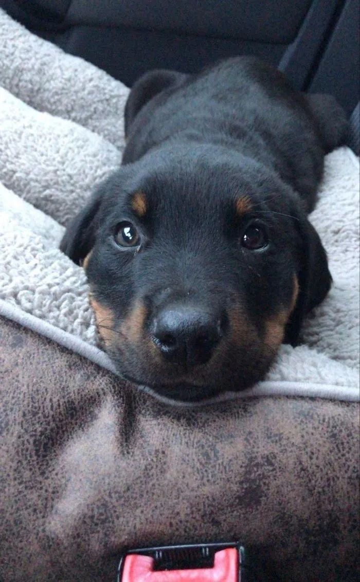 1584760981351500.jpg 640.webp (21).jpg