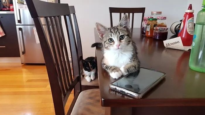 1584760990113197.jpg 640.webp (22).jpg