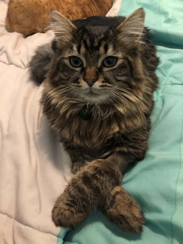 1584761035827500.jpg 640.webp (25).jpg