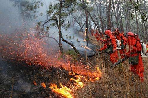 1586057920189232.jpg timg.jpg