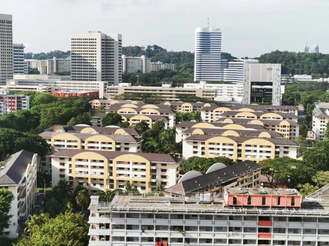 1586487275502575.jpg 640.webp (19).jpg