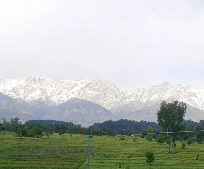 1586487969461619.jpg 640.webp (4).jpg