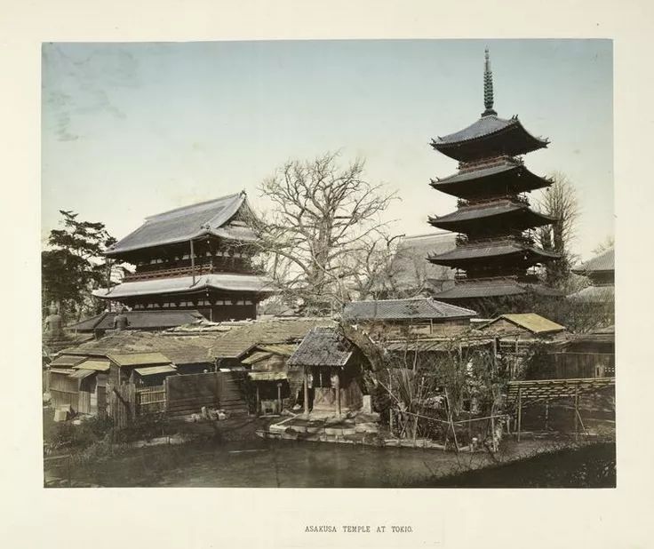 1587437617956836.jpg 640.webp (61).jpg