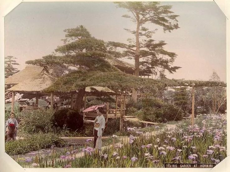 1587437649343706.jpg 640.webp (63).jpg