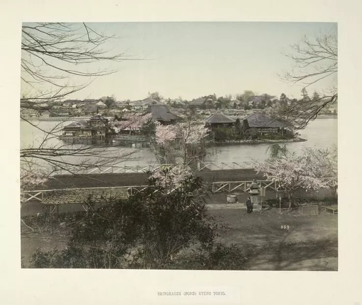 1587437660919043.jpg 640.webp (64).jpg