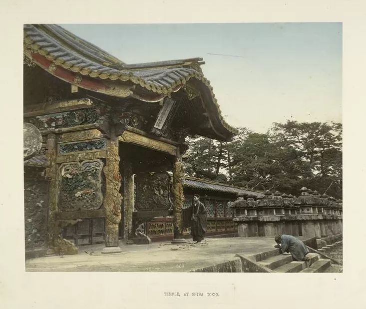 1587437666244692.jpg 640.webp (65).jpg