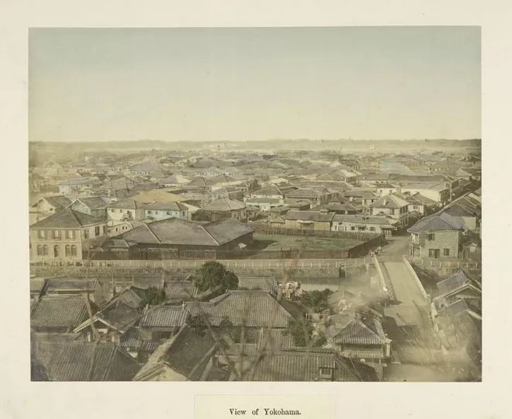 1587437688881087.jpg 640.webp (68).jpg