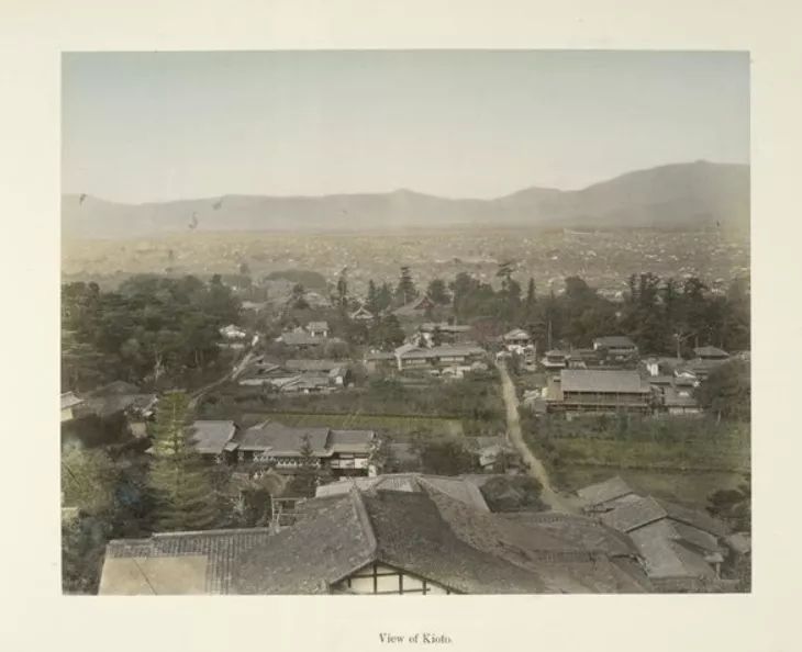 1587437705303682.jpg 640.webp (70).jpg