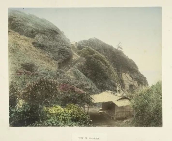 1587437735427715.jpg 640.webp (73).jpg