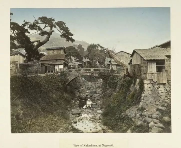 1587437742233454.jpg 640.webp (75).jpg