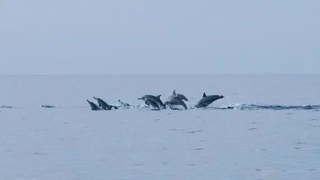 1587520169131922.jpg 640.webp (7).jpg