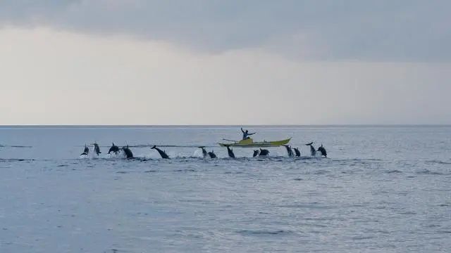 1587520180876546.jpg 640.webp (8).jpg