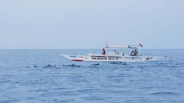 1587520189897512.jpg 640.webp (9).jpg