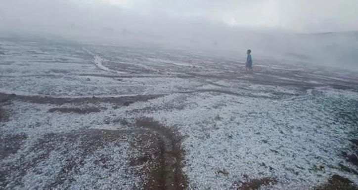 1587695655600390.jpg 微信图片_20200424103354.jpg