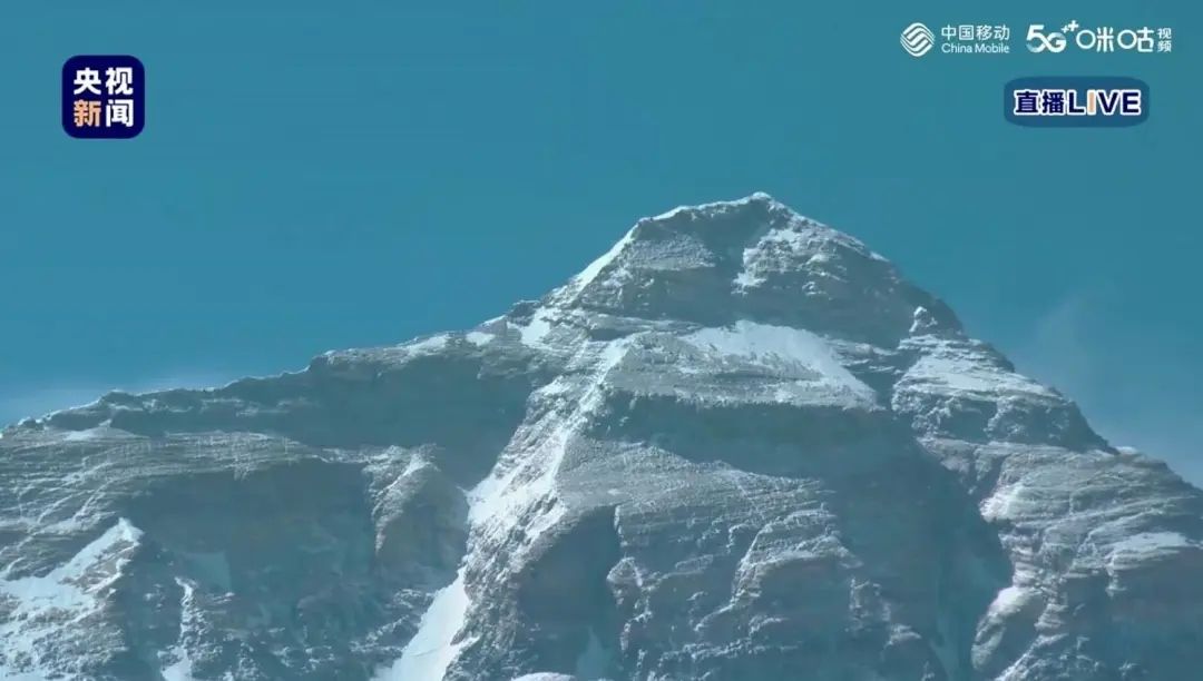 1588300091574918.jpg 640.webp (1).jpg