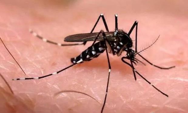 1588989984587533.jpg 微信图片_20200509100606.jpg