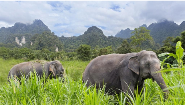 1589423101408392.png 640 (10).png