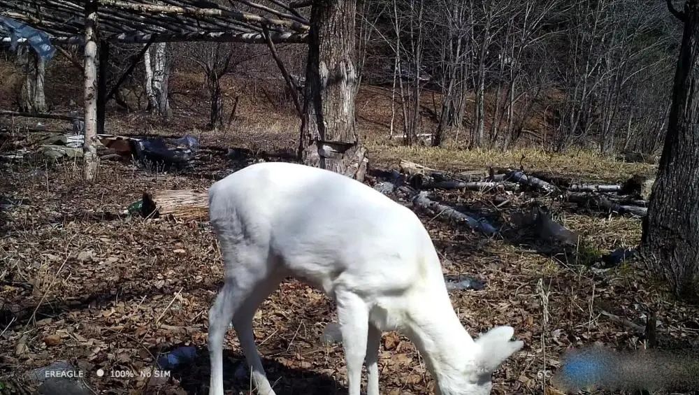 1589423676972760.jpg 640.webp (45).jpg