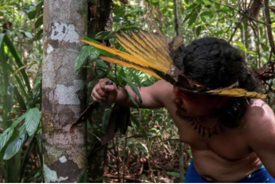 1590026325405164.png 640.png