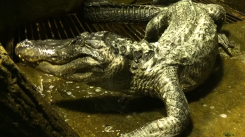 1590373638946394.png 640 (6).png