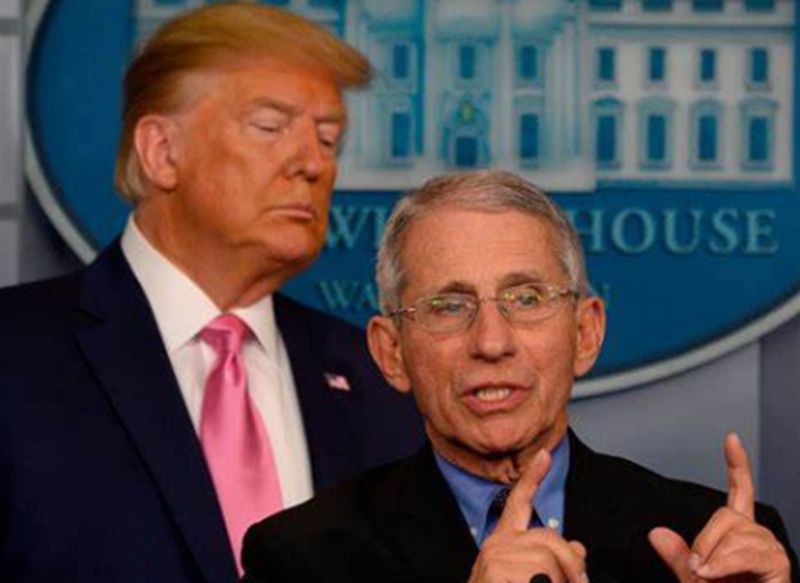 1595994355692896.jpg u=1608599755,2853012625&fm=11&gp=0.jpg