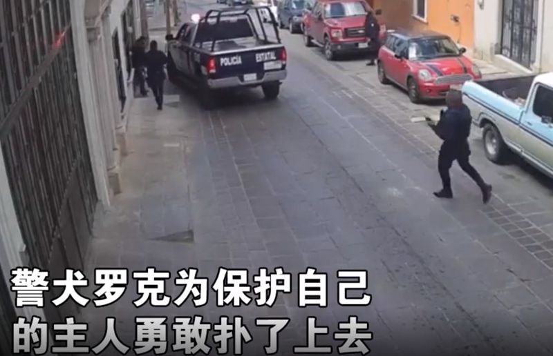 1597631466780376.jpg 1597631354(1).jpg