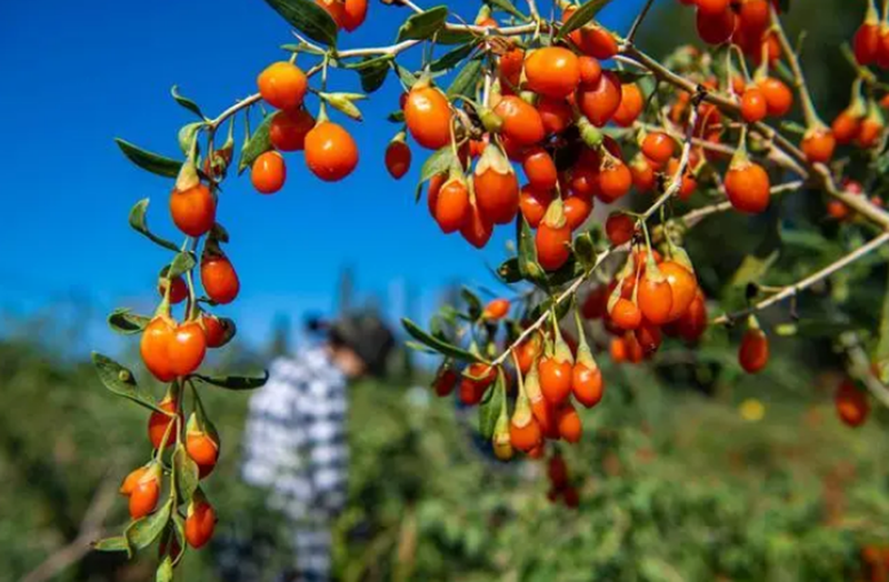 1600911573410585.png 微信图片_20200924093522.png