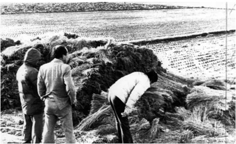 1604372589762769.jpg 640.webp (2).jpg