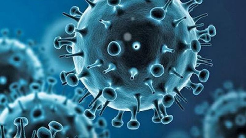 1606702448321134.jpg u=2884412482,3078143391&fm=11&gp=0.jpg